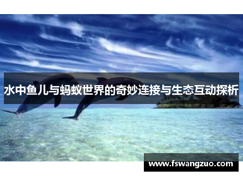 水中鱼儿与蚂蚁世界的奇妙连接与生态互动探析